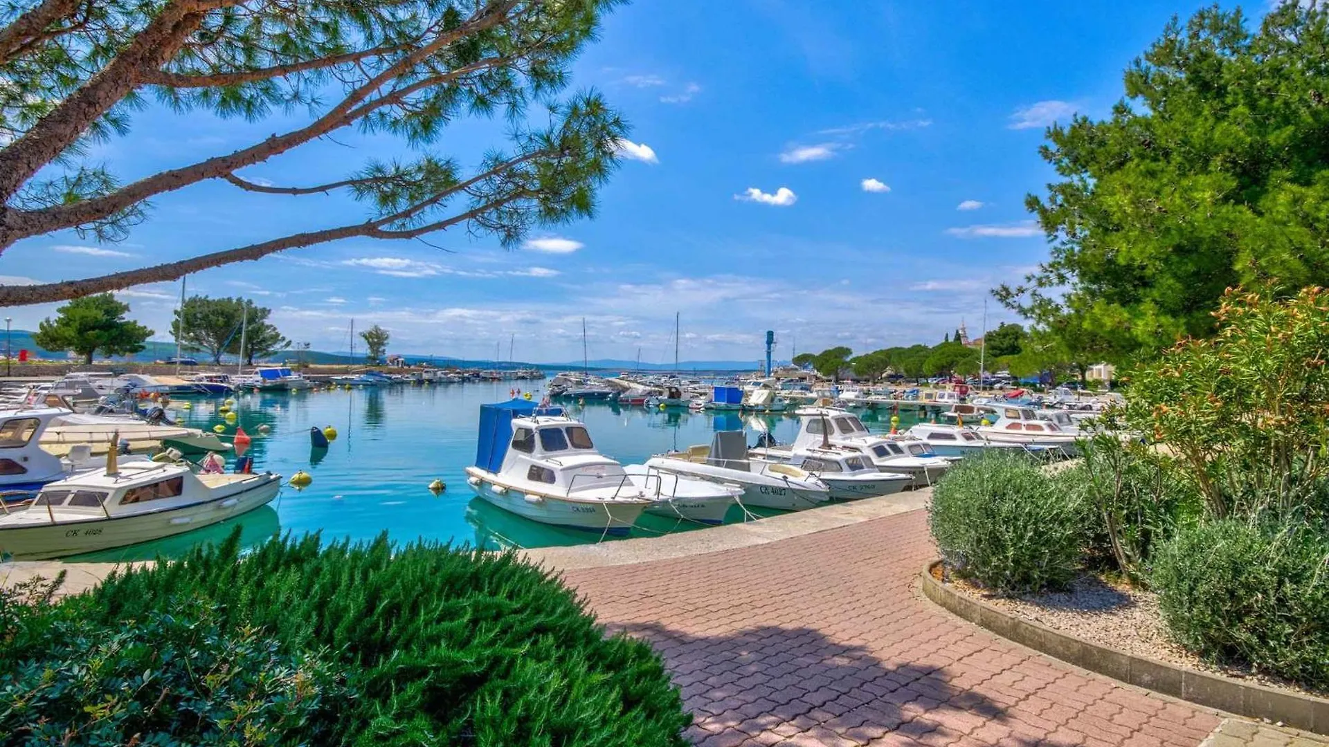 Apartments In Crikvenica 41686
